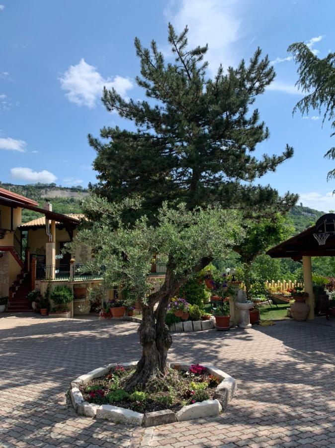 Le Ceppete Apartment Palombaro Exterior photo